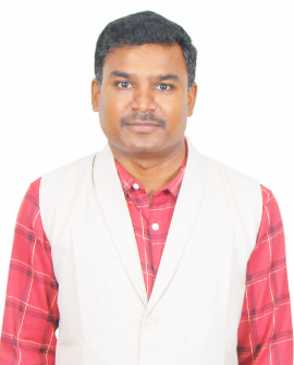 Mr P J Ragu